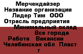 Мерчендайзер › Название организации ­ Лидер Тим, ООО › Отрасль предприятия ­ BTL › Минимальный оклад ­ 17 000 - Все города Работа » Вакансии   . Челябинская обл.,Пласт г.